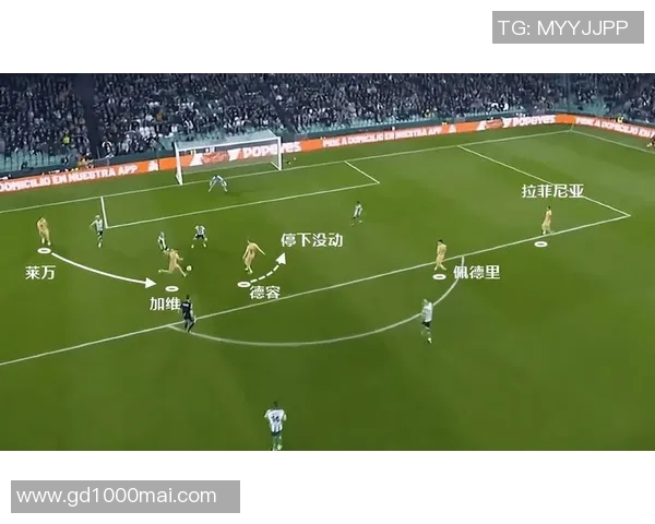 重庆羽毛球队速度对比深度解析与战术优势探讨